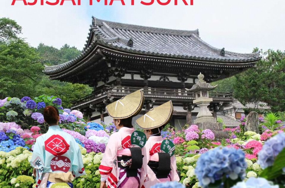 Ajisai Matsuri (Hydrangea Festival